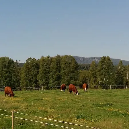 Pohoda Apartman Nová Pec